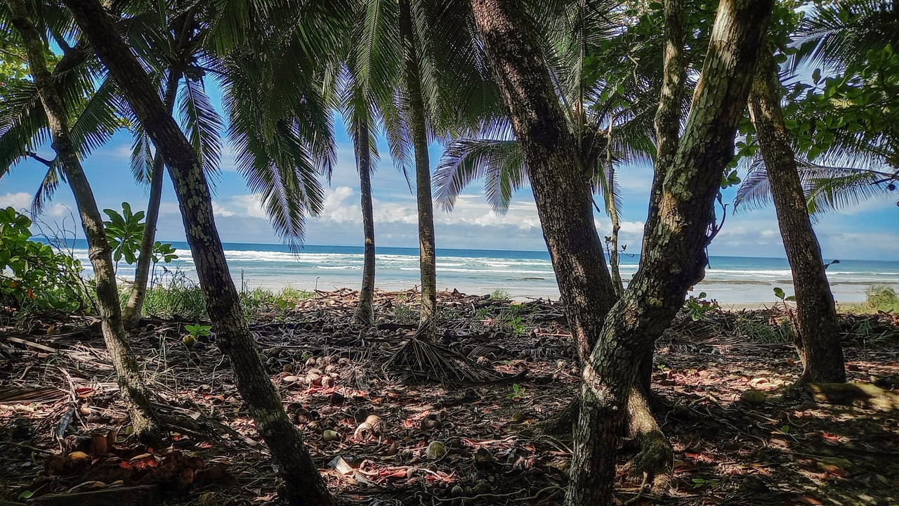 Beachfront Development Acreage, Santa Teresa, Puntarenas