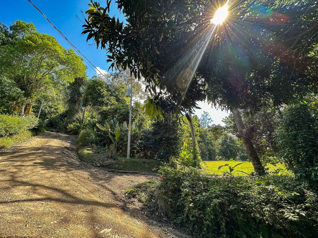 A prepared, 1.5 Acres jungle immersed lot with spectacular views of the Whale’s Tail. 