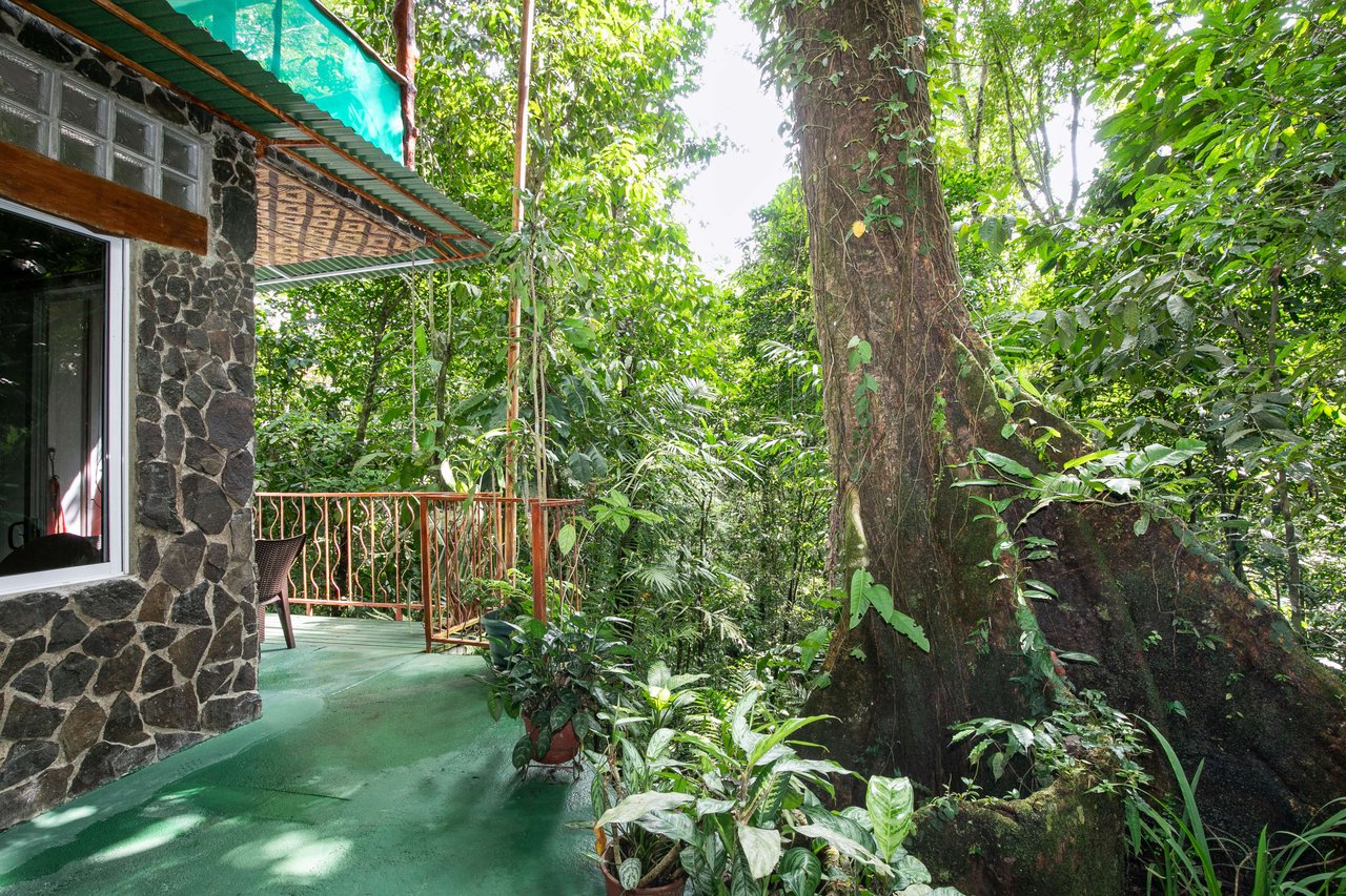 Jungle Retreat with 4 Turn-Key Vacation Rentals for Sale in Quepos