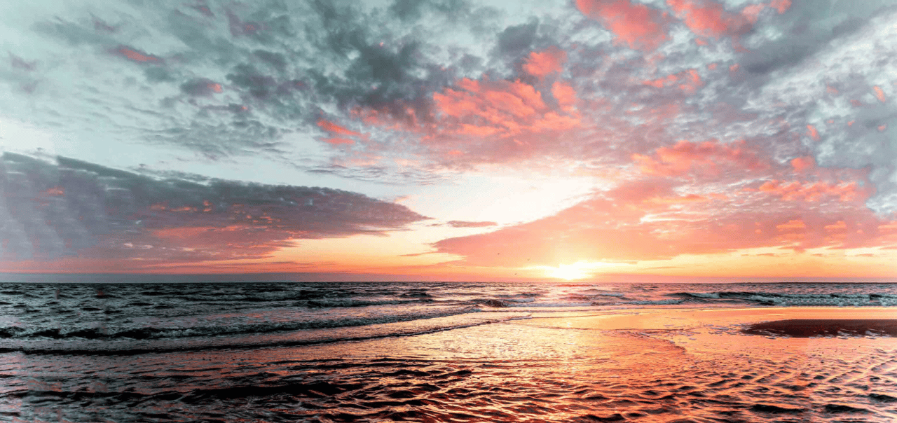 Sage LBK Sales Exceed 50 Percent