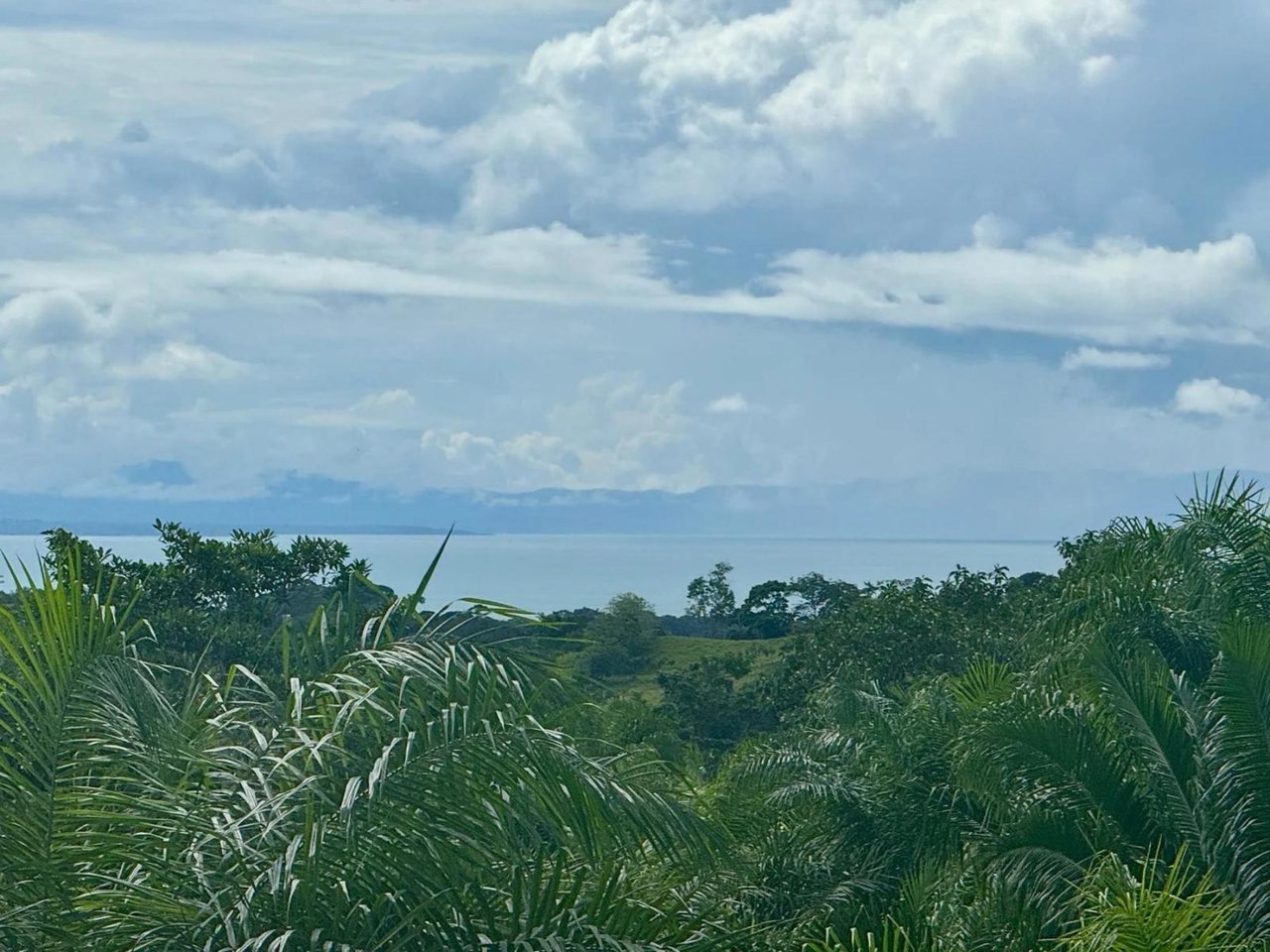 Ocean View Creek Side Land, Osa, Puntarenas