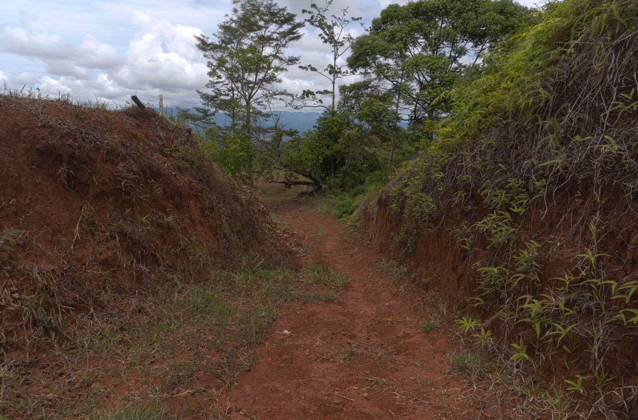 Sierpe Sunset and Jungle Views, 10 Acre Property, OSA!