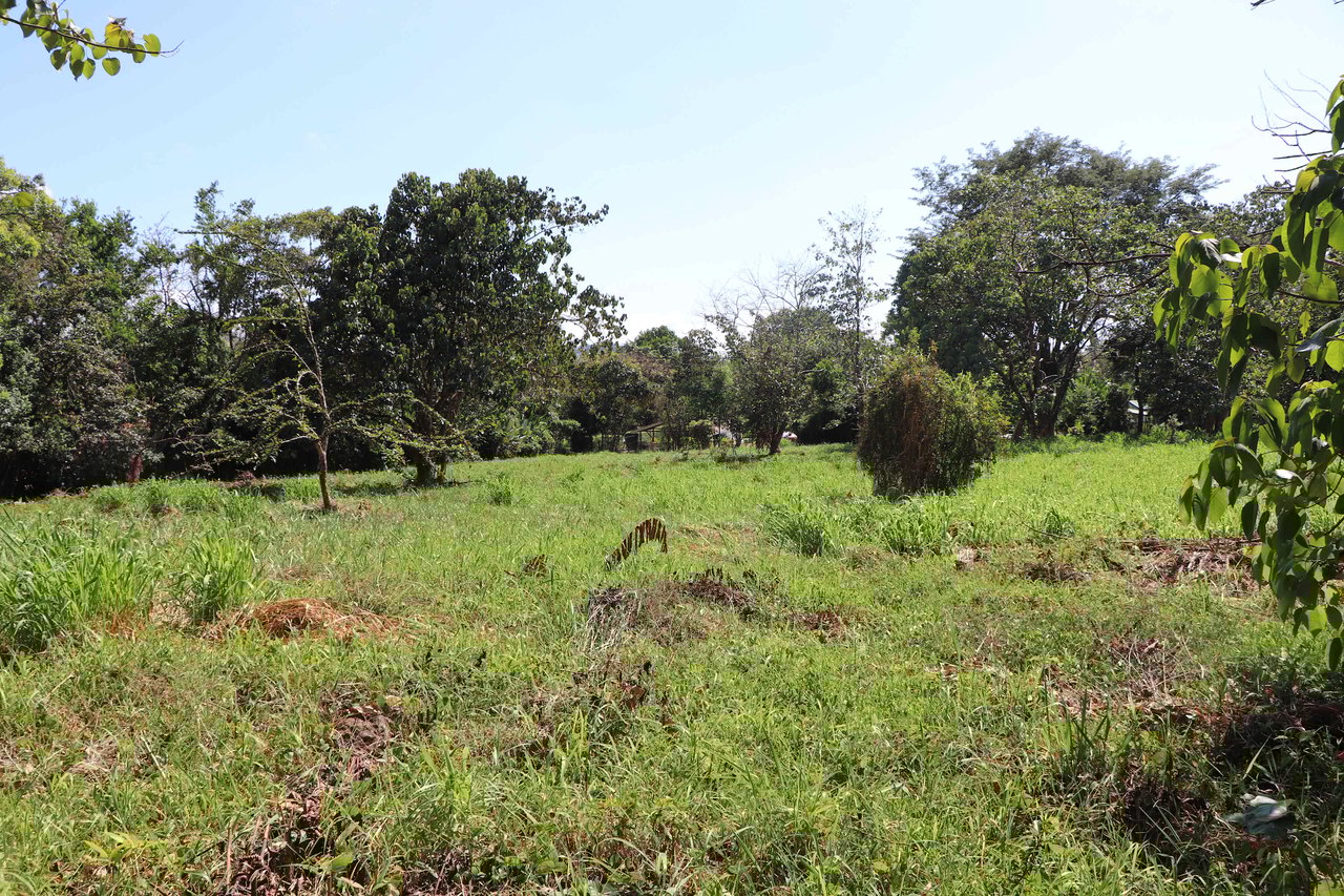 Over 3 Acres, Mountain View Lot in the Heart of Ojochal, Ready for Development!.