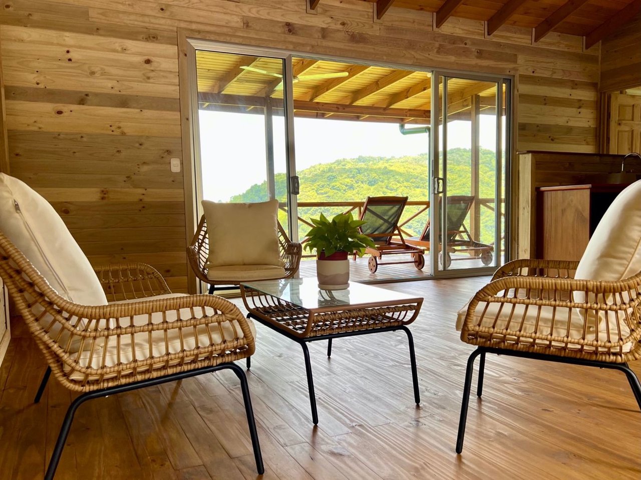 Ocean View Jungle Retreat, Perez Zeledon, San Jose