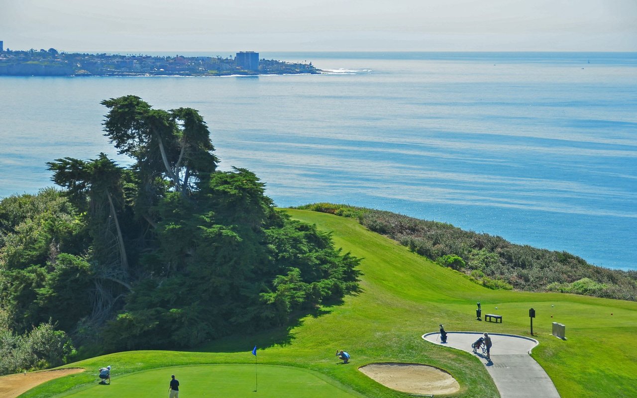 Torrey Pines
