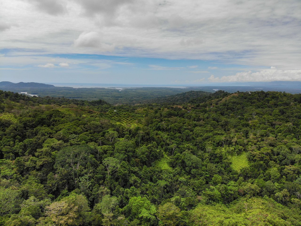 Sierpe Sunset and Jungle Views, 10 Acre Property, OSA!
