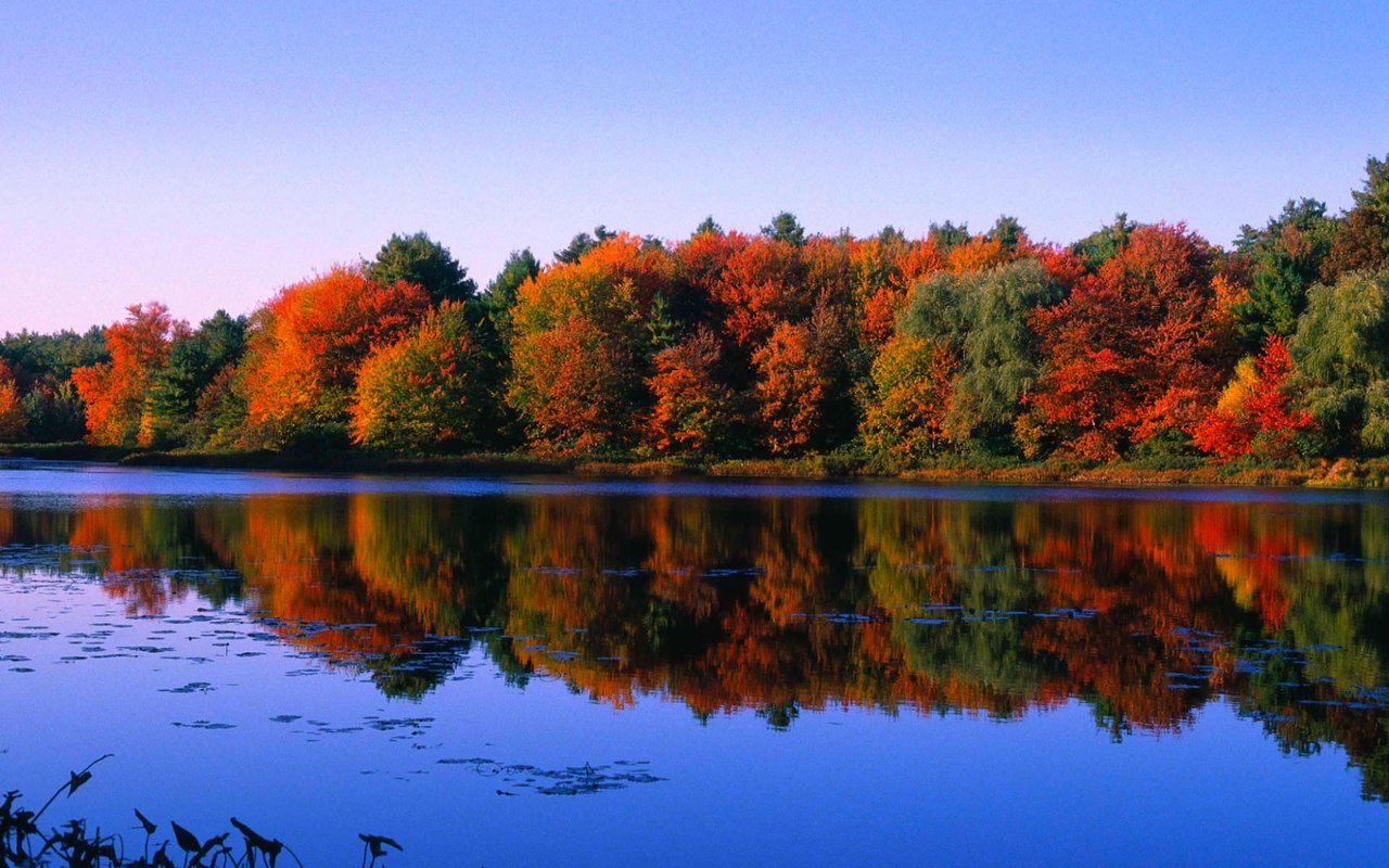 12 Day Trips from Natick