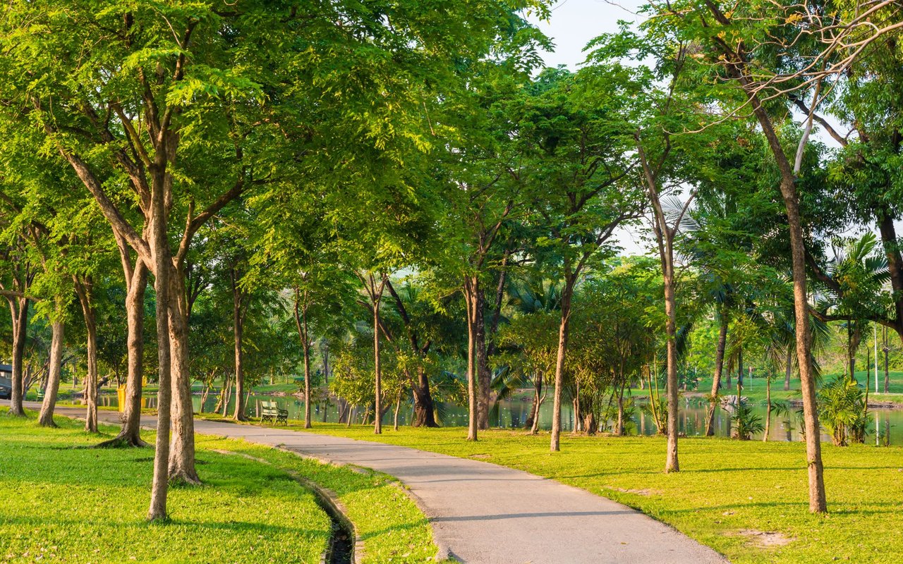 Phillips Creek Ranch