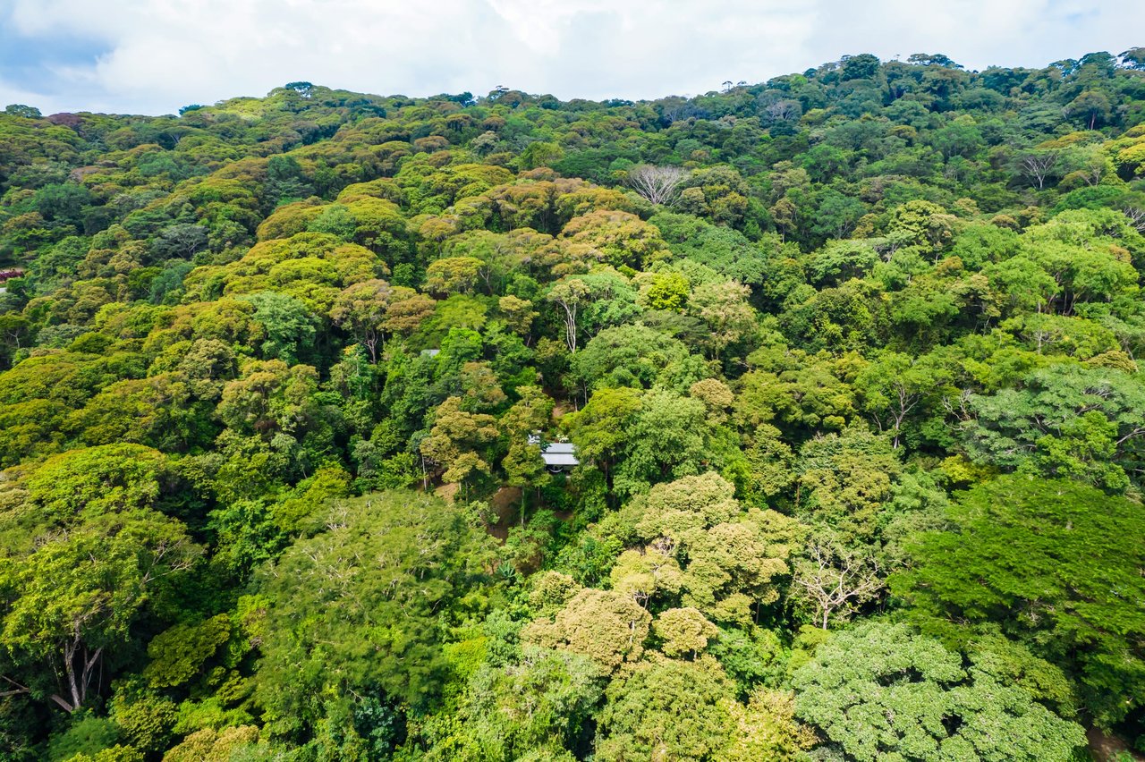 Tropical Villas on 11 Acres of Jungle. Great Location for a Retreat!