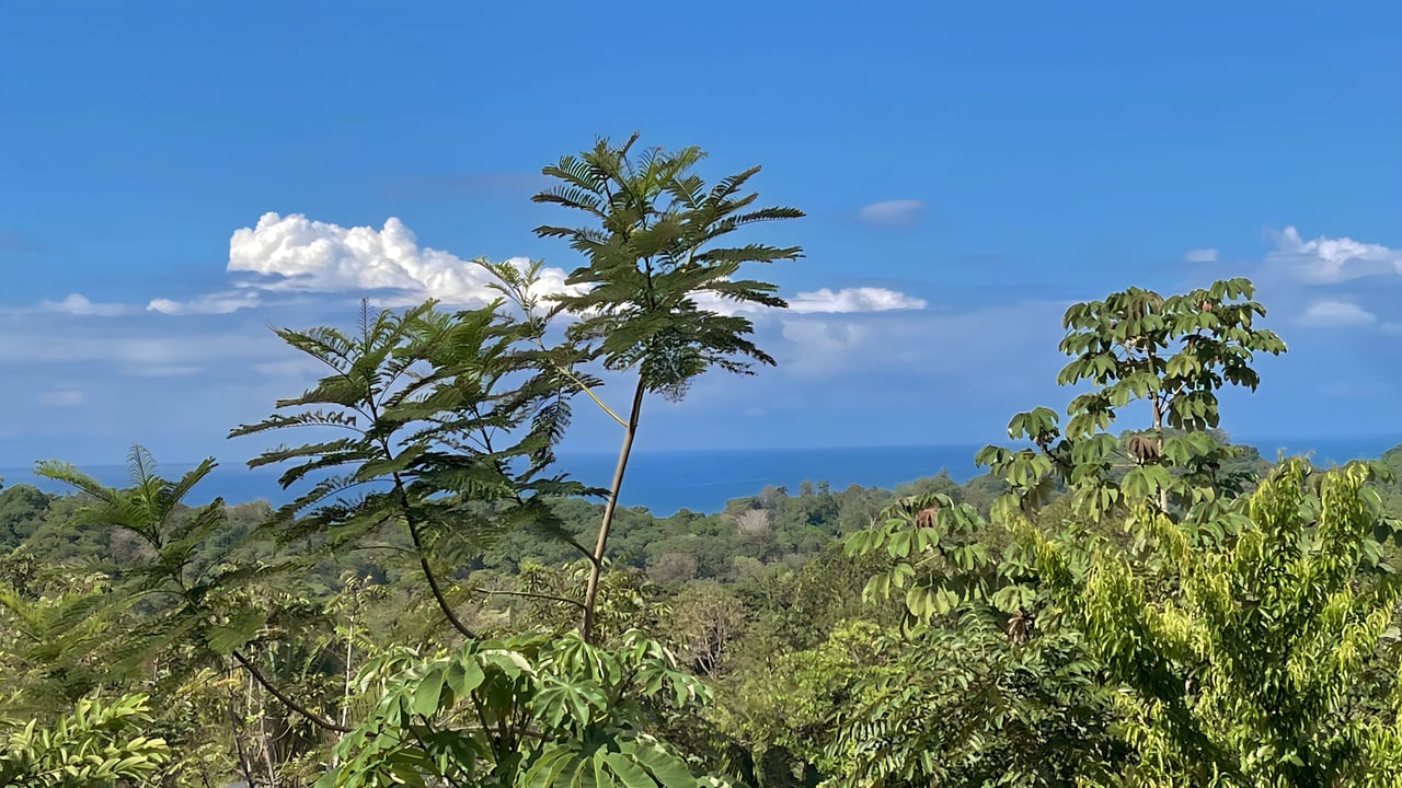  Exclusive Hermosa 1.2 Acre Lot with Panoramic Mountains and Ocean View. 