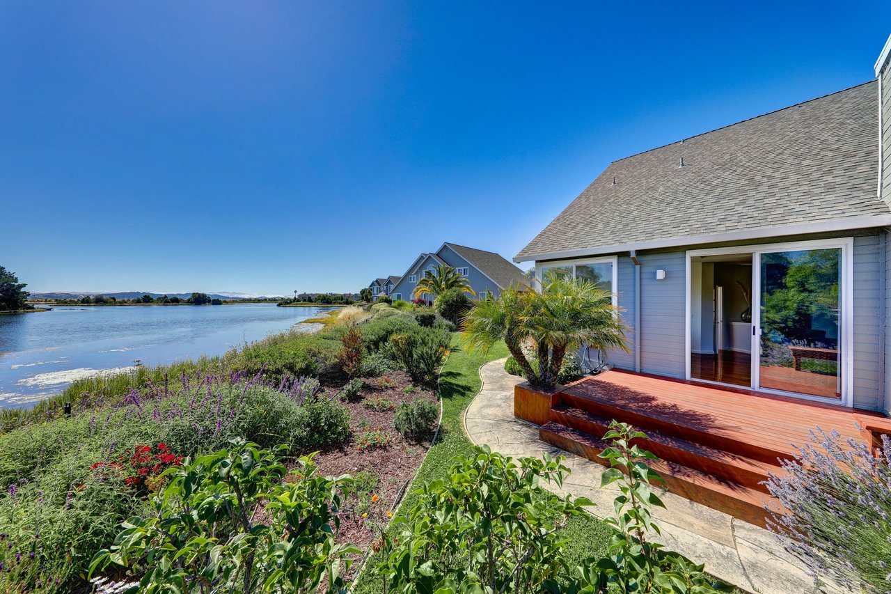 Vacation at Home on the Marin Bayshore