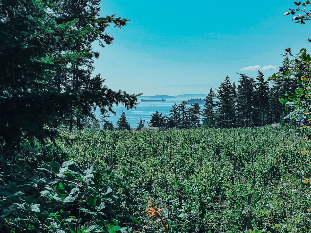 Saturna Island