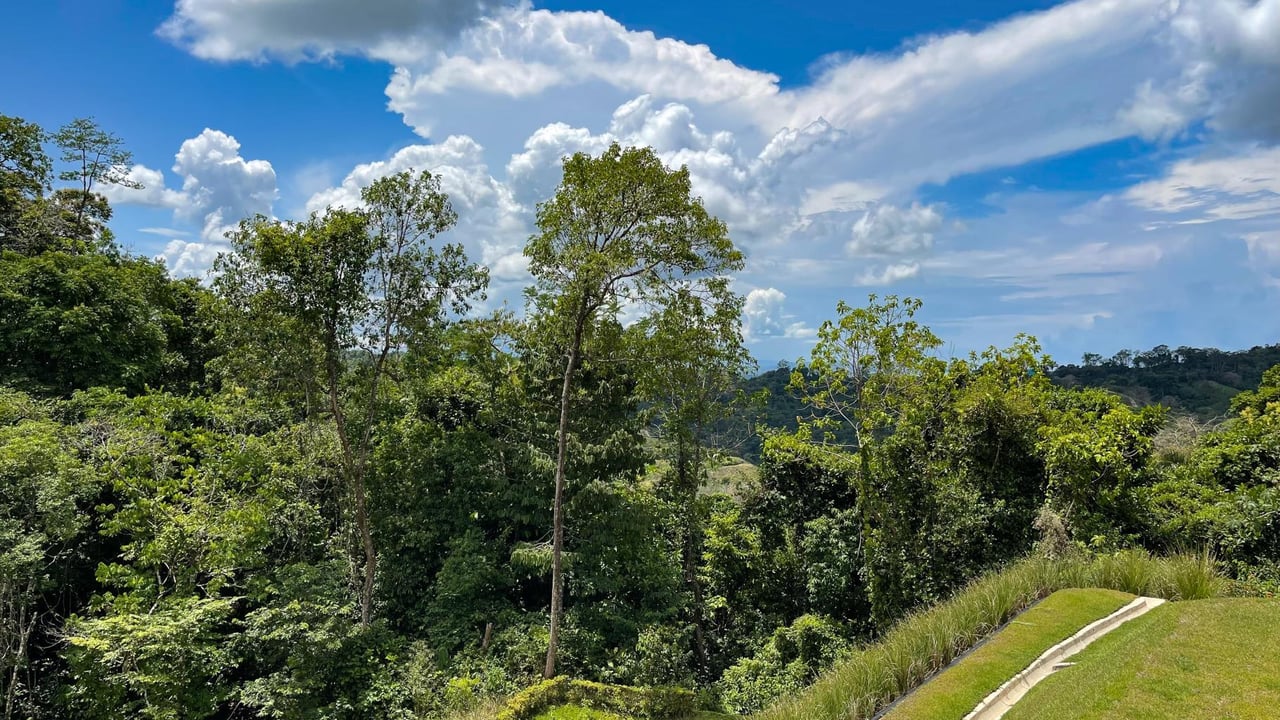Everything You Want Out of Costa Rica!