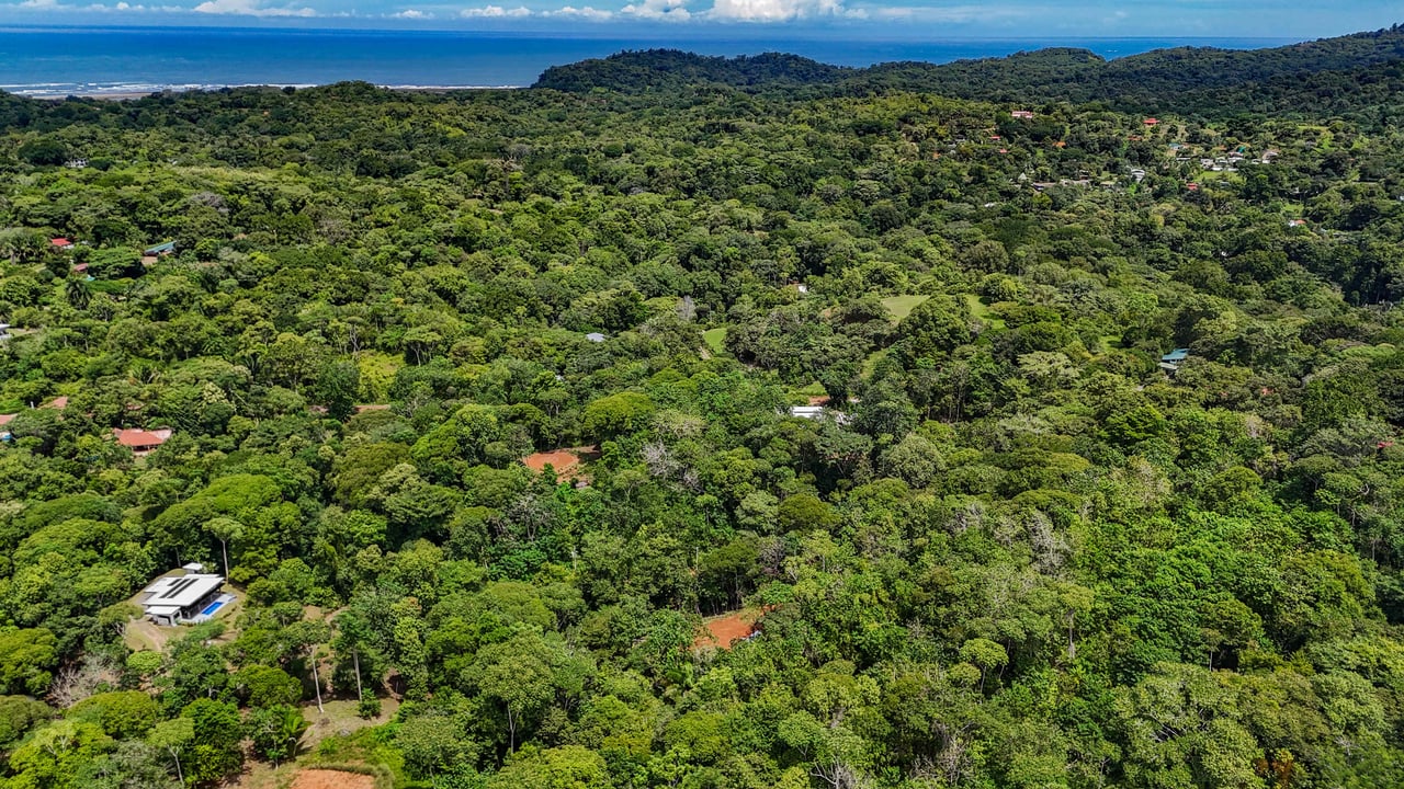 A jungle – and – creek border 1. 6 acre lot in a secure gated community, prepared and ready for your dream home!. 