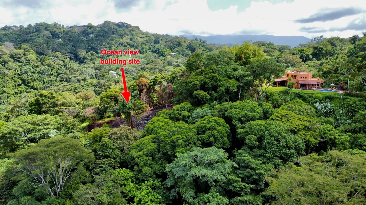 11.35 ACRES – 3 Bedroom Luxury Home, 1 Bedroom Guest House, Pool, Sunset Ocean View, Separate Ocean View Building Site!!