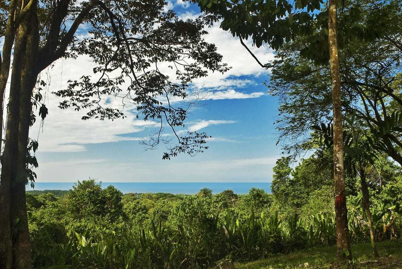 Shovel Ready Development Land, Manuel Antonio, Puntarenas