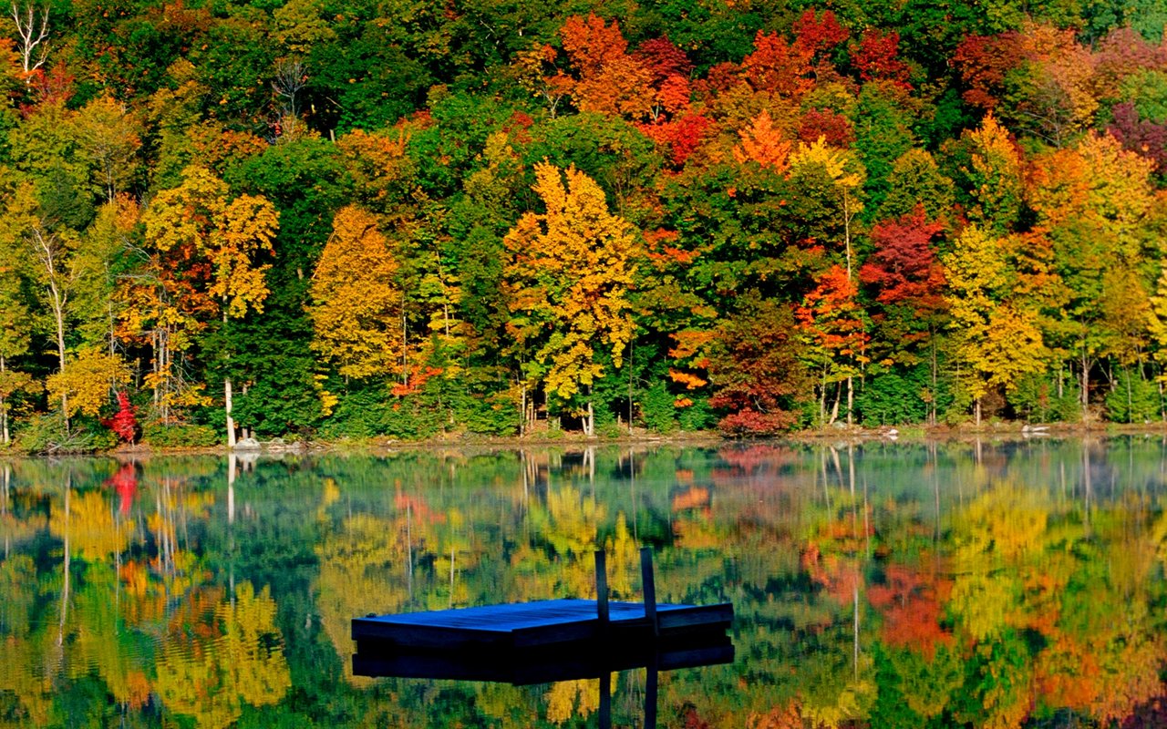 Your Berkshires Fall Foliage Guide