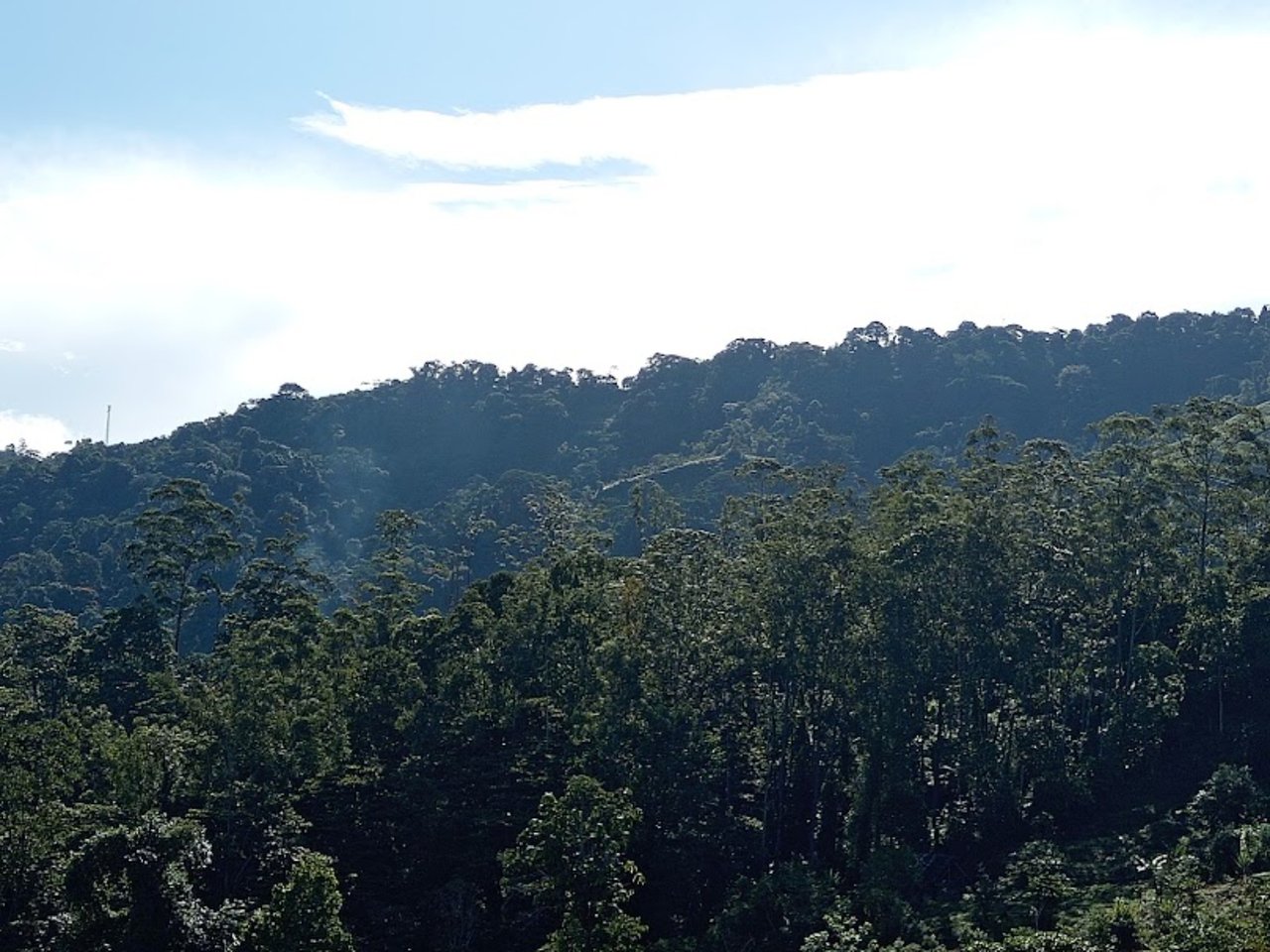 Ocean View Spring Acreage, Perez Zeledon, San Jose