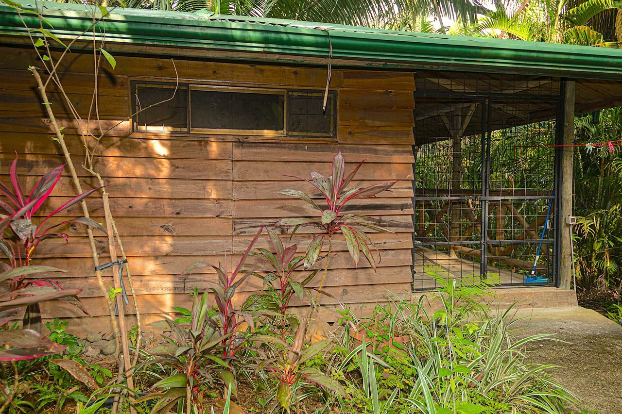 Multi Residence Jungle Compound, Manuel Antonio, Puntarenas