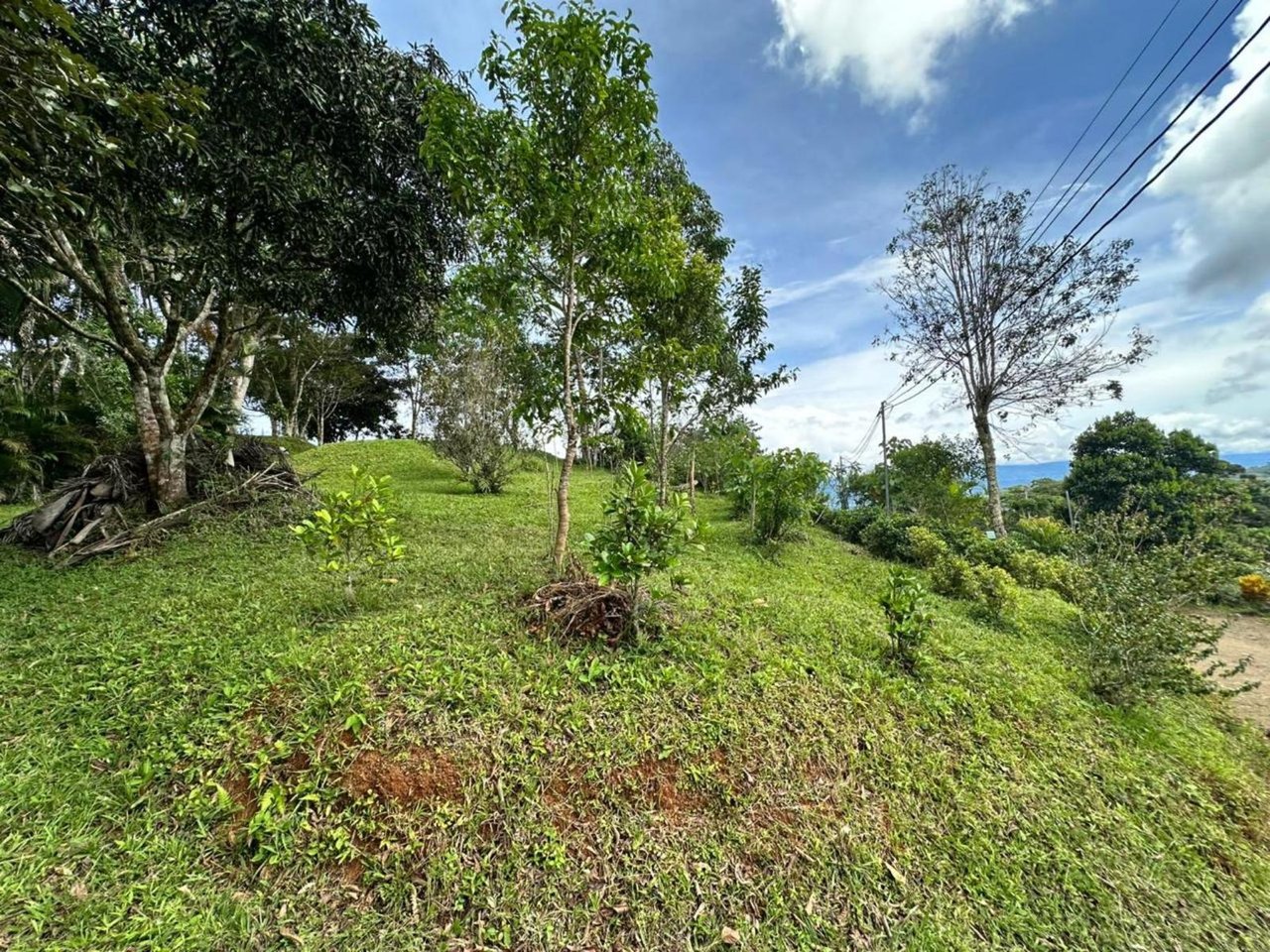 Waterfall Eco Hotel Estate, Perez Zeledon, San Jose