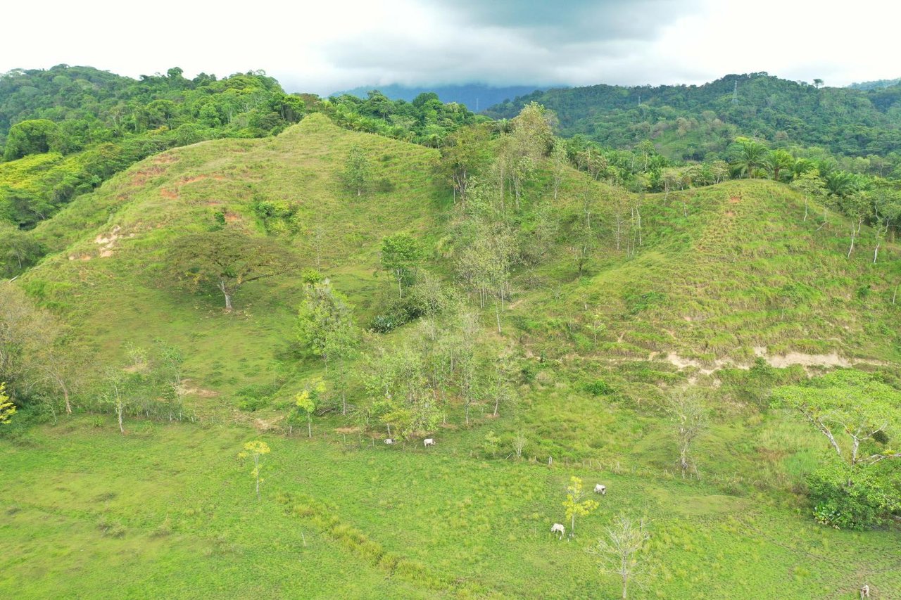 Prime 286-Acre Ocean View Property for Sale Near Quepos, Costa Rica – Ideal for Development