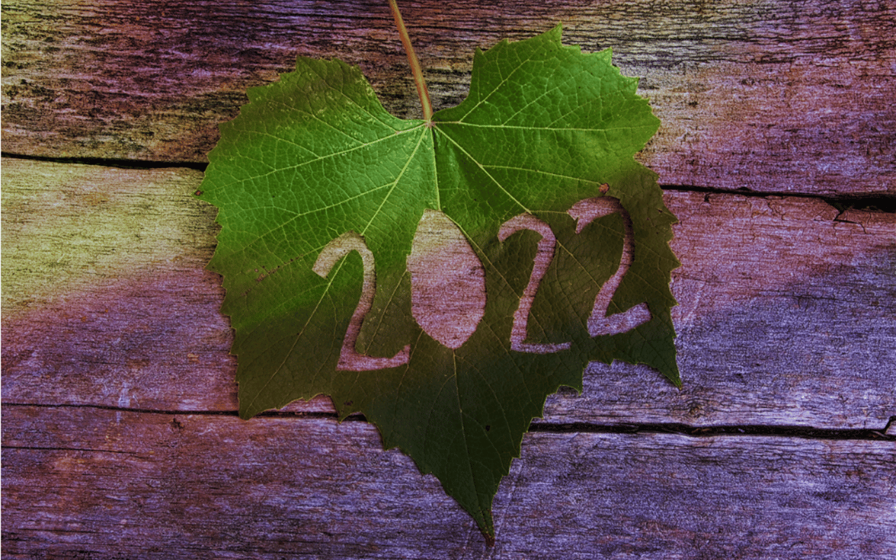 Looking Ahead: 2022 Vineyard Real Estate Forecast