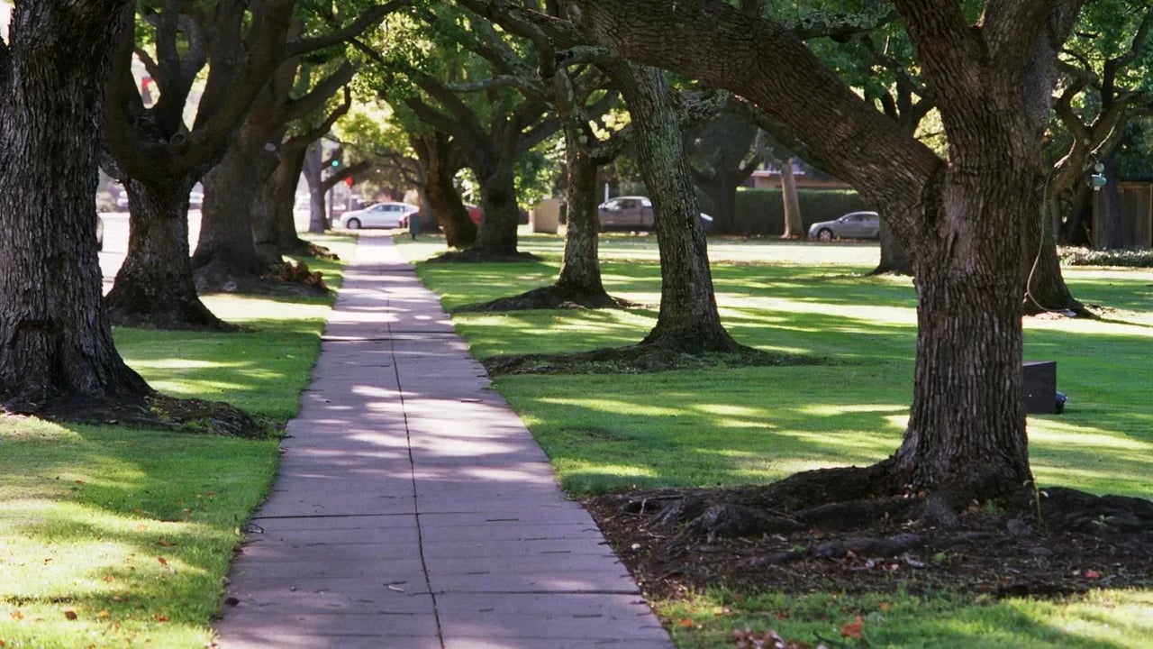 Palo Alto