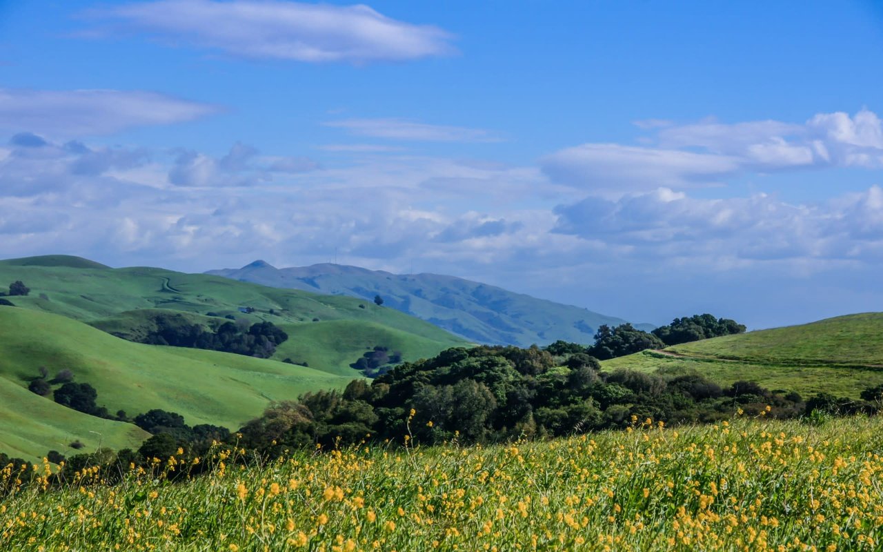 Alameda County