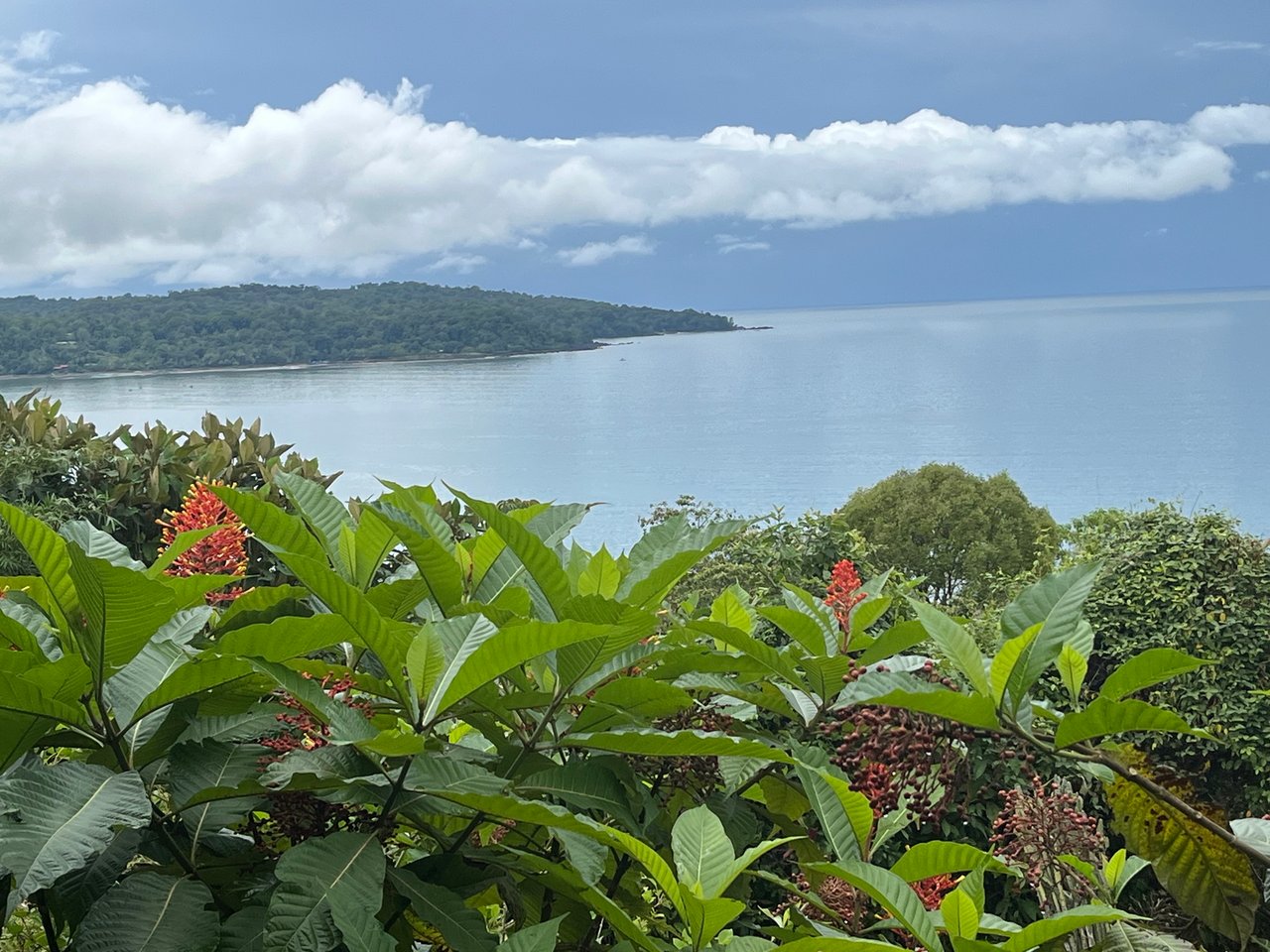 Private Ocean View Lot, Osa, Puntarenas