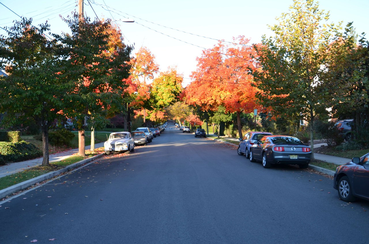 AU Park streetscape in fall.