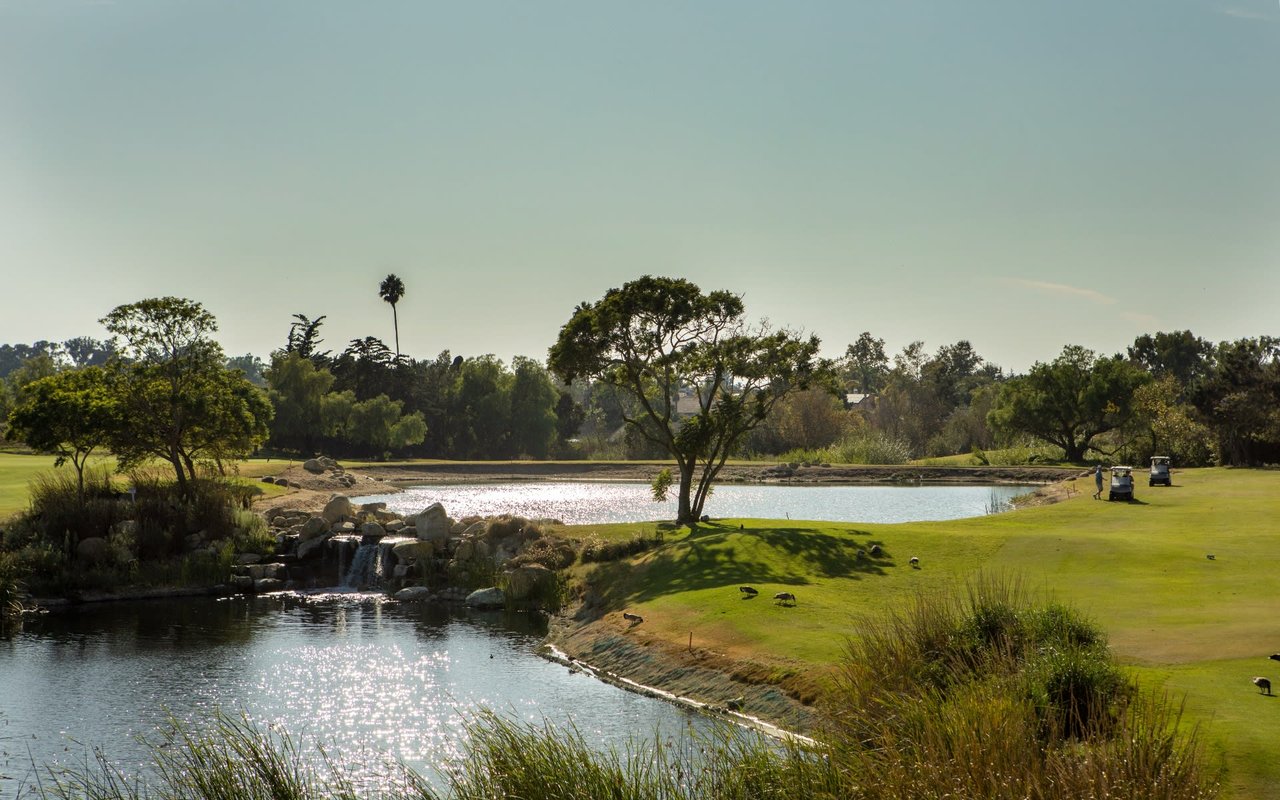 Goleta