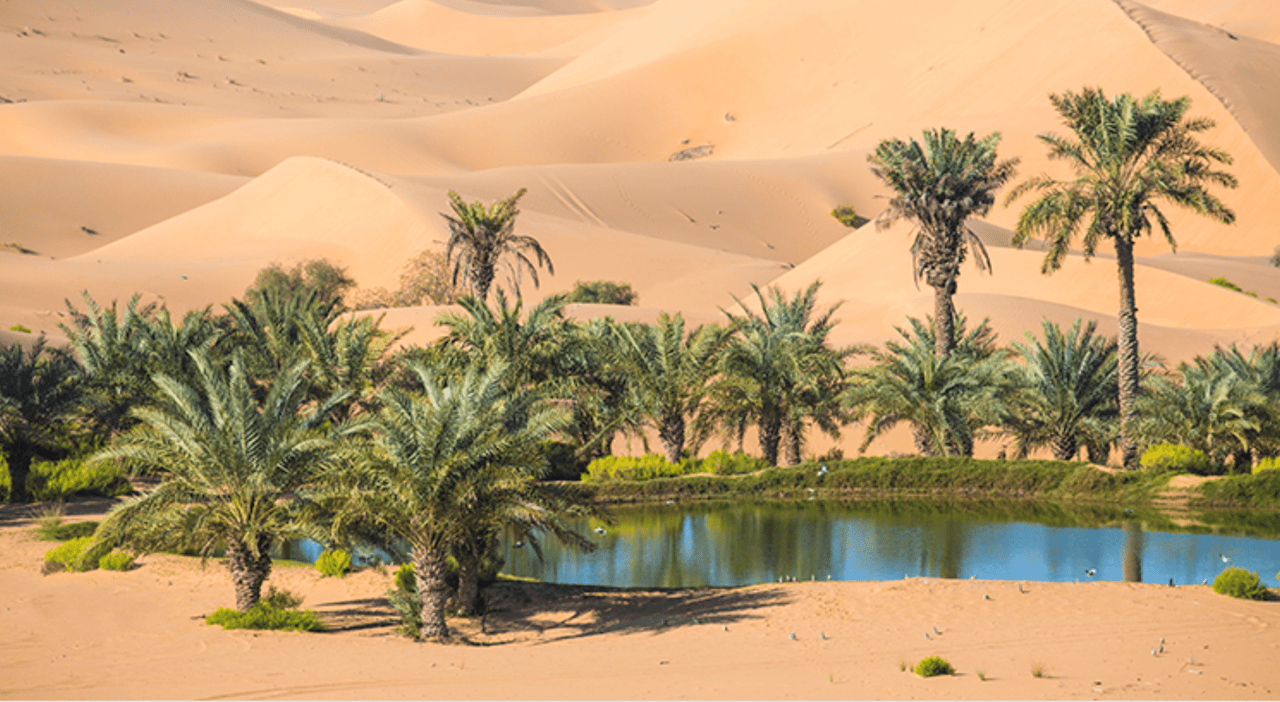 Your House Could Be the Oasis in an Inventory Desert