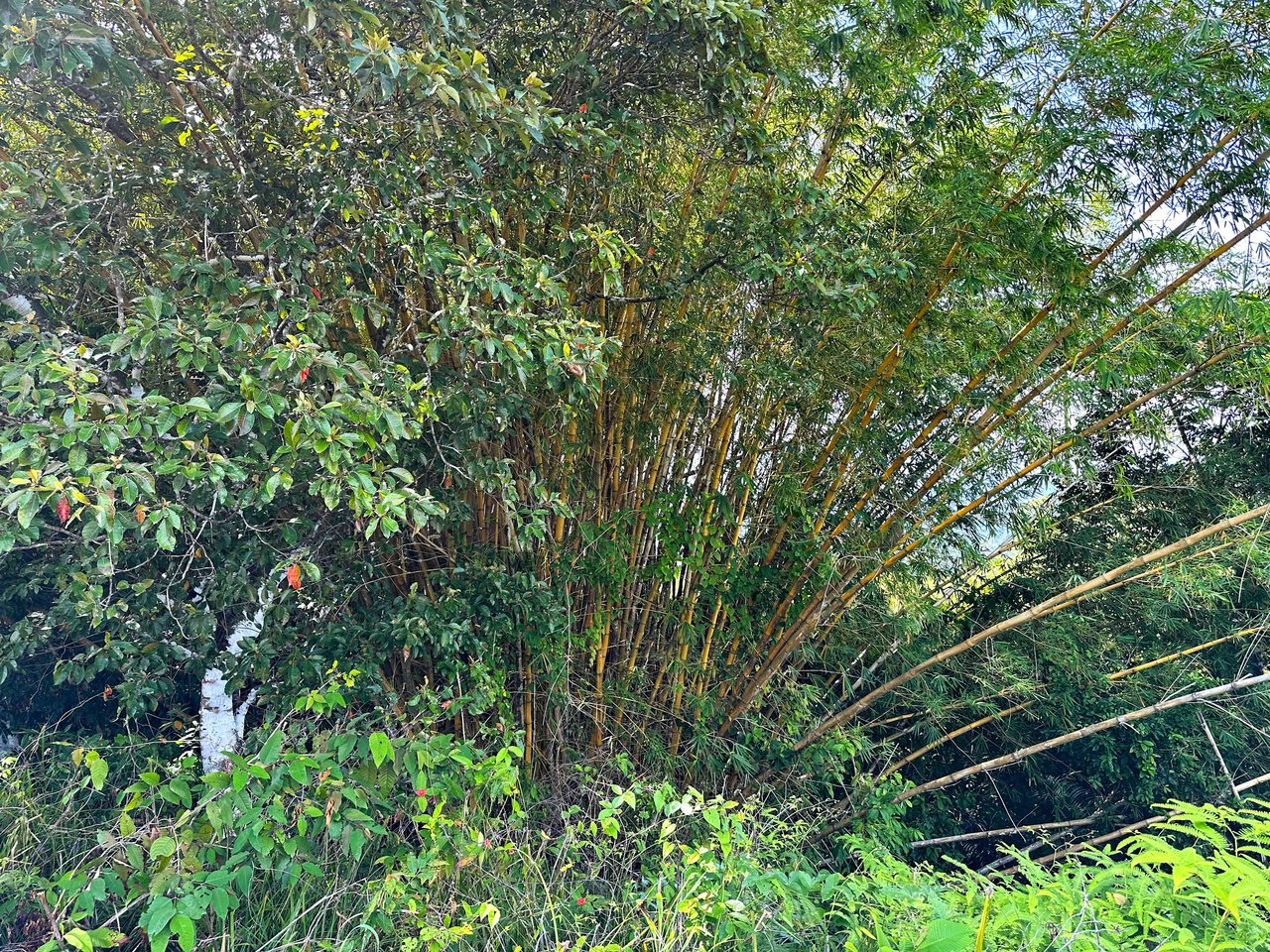 2 Acres Property with 360 Panoramic Views!