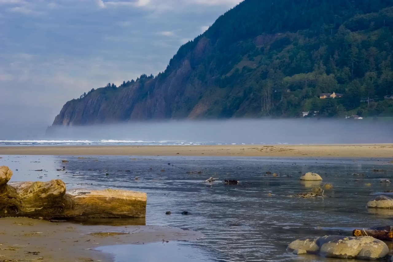 mist and driftwoow on a grey day at the base of the cliffs in neahkahnie