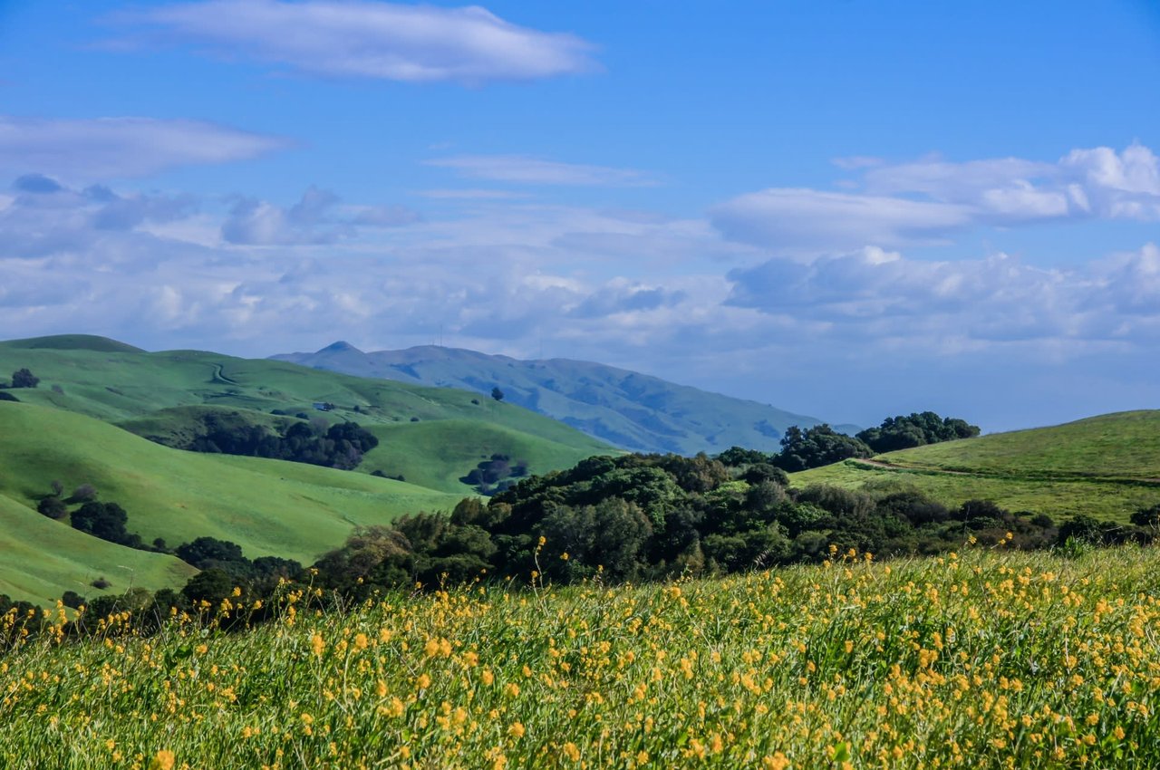 Alameda County