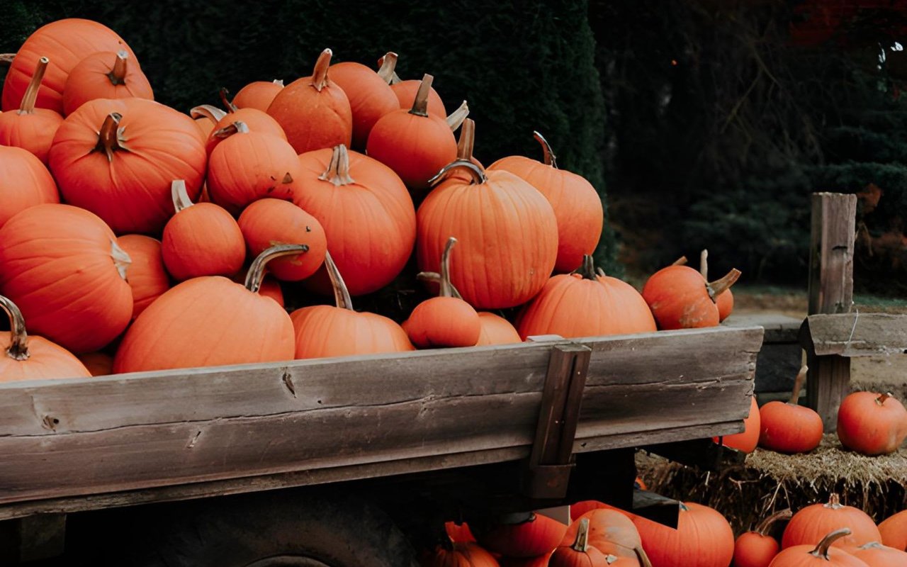 It’s Fall Y’all! And Time for Pumpkins