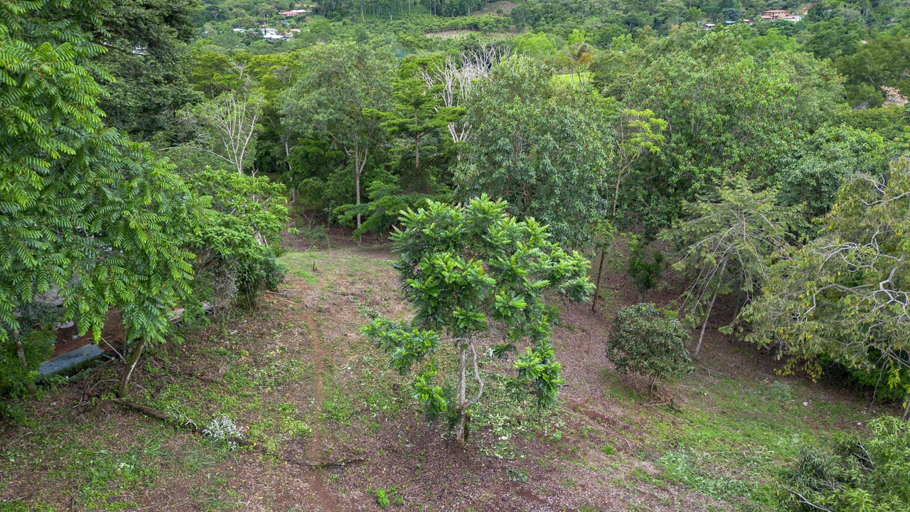  2.5 Acres of Fertile Land with Creek, Ready to Build