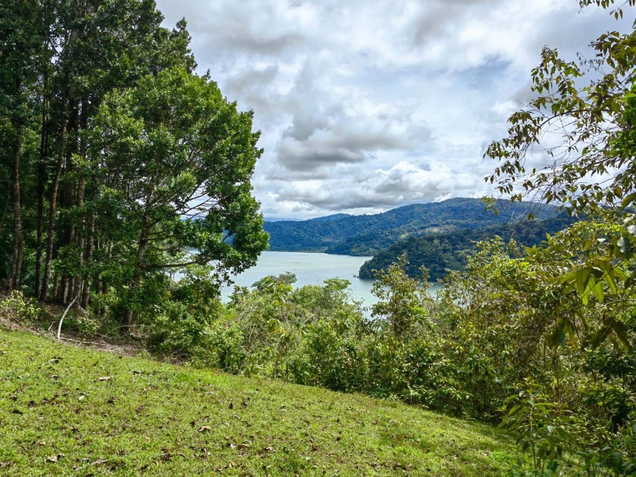 Coastal Development Land, Osa, Puntarenas
