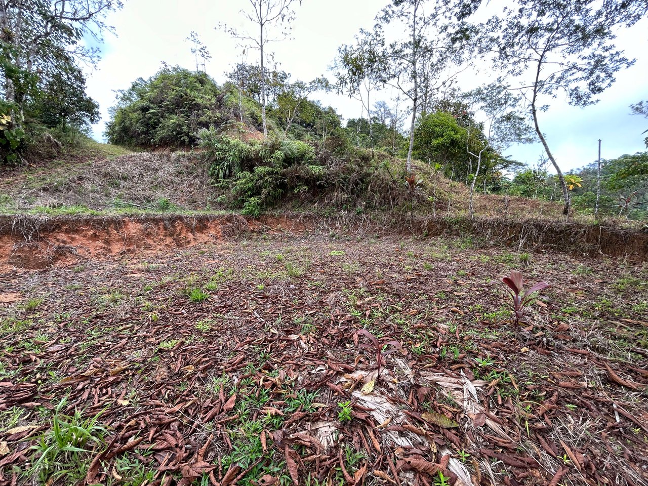 Whale Tail, Ocean & Mountain View lot in San Luis.