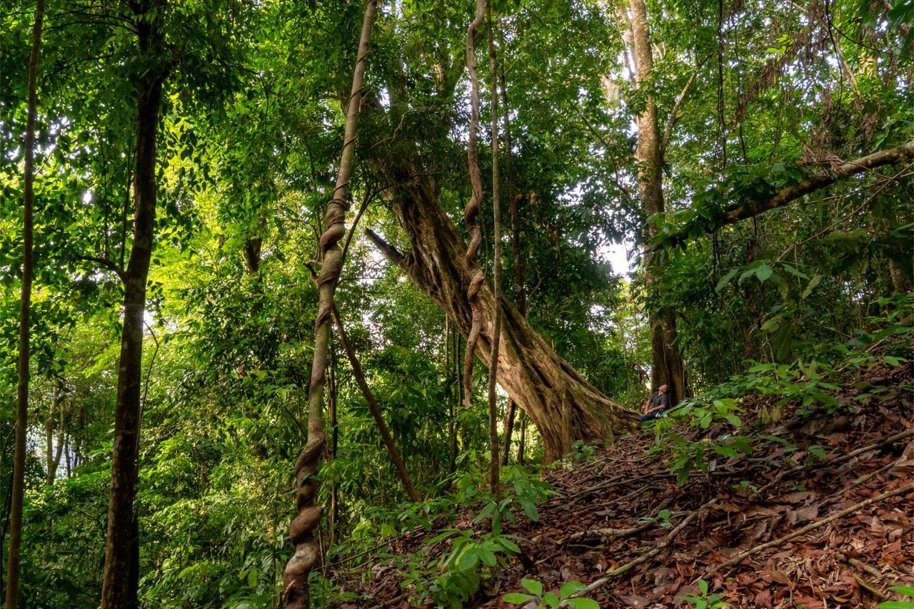 Private Ocean View Development Lot, Dominical, Puntarenas