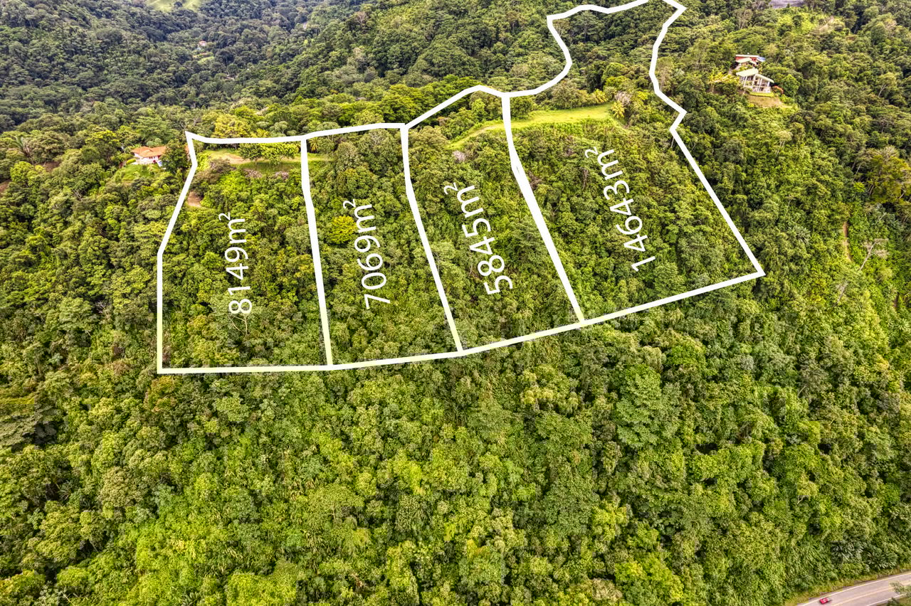 Coronado Estates Development Farm
