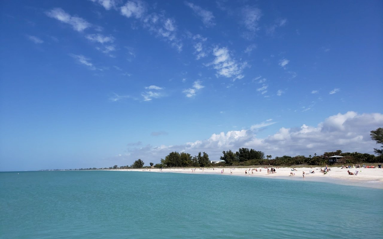 Osprey & Nokomis