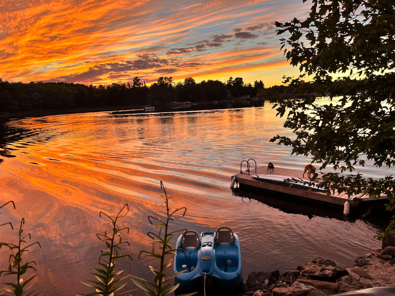 Brandy Lake Cottage Port Carling