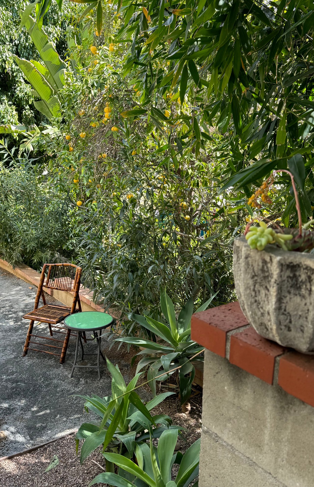 Silver Lake Mid-Century Duplex