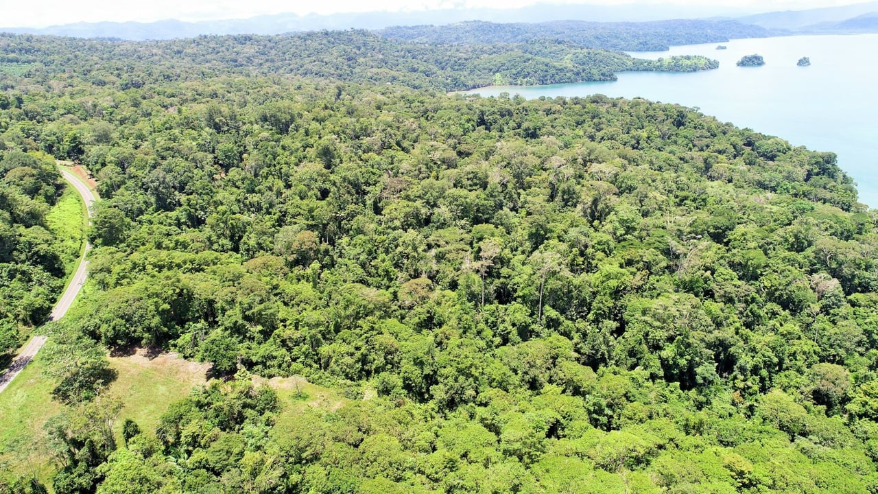 Private Beachfront Development Land, Ojochal, Puntarenas