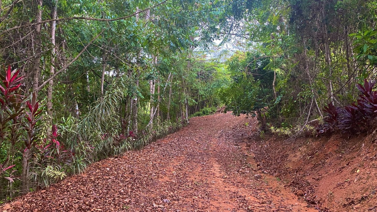 Ocean View Development Land, Ojochal, Puntarenas