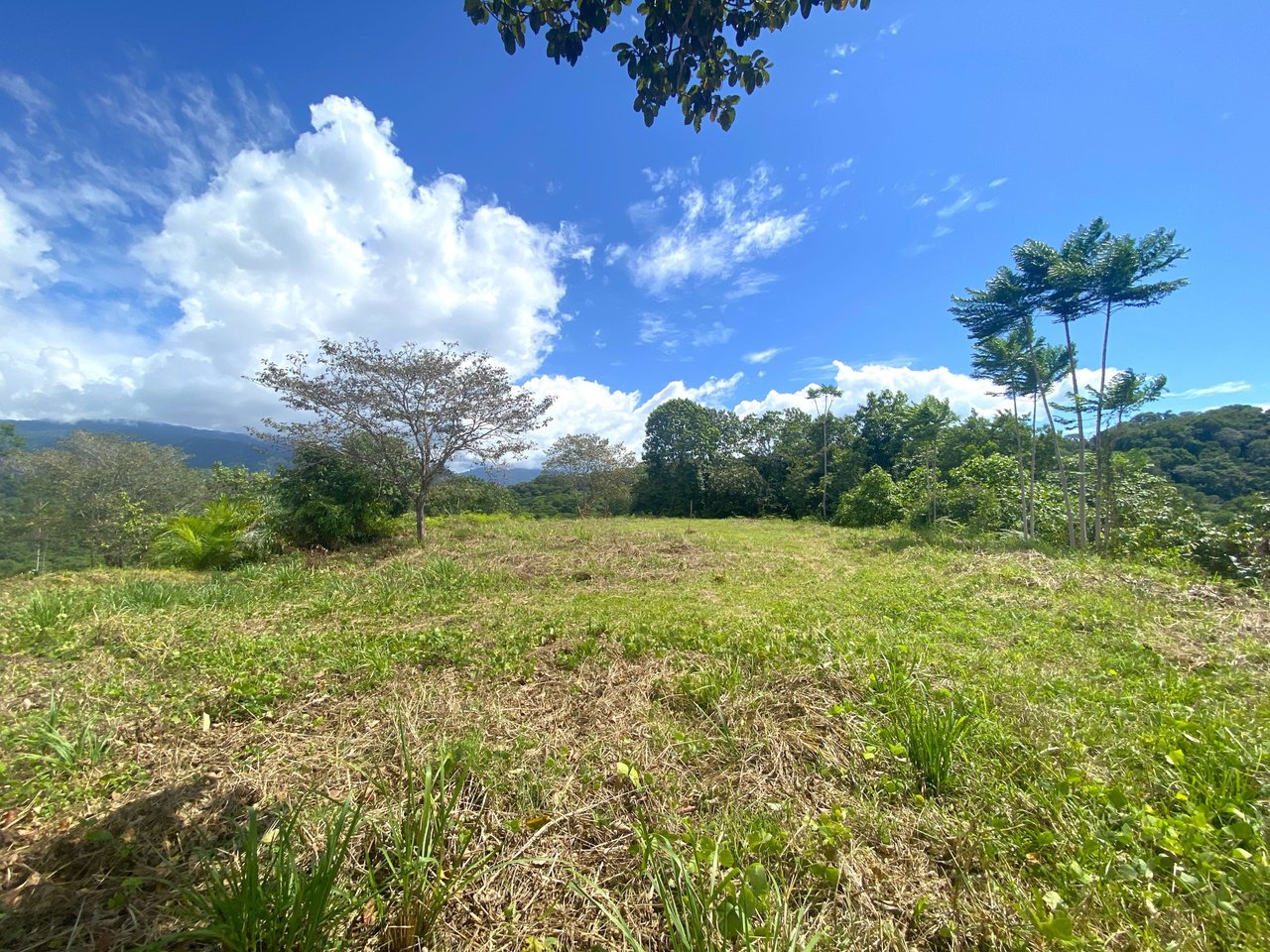 3.98 Acres, Ocean View Property In Finca Maranon With Legal Water! Ojochal 