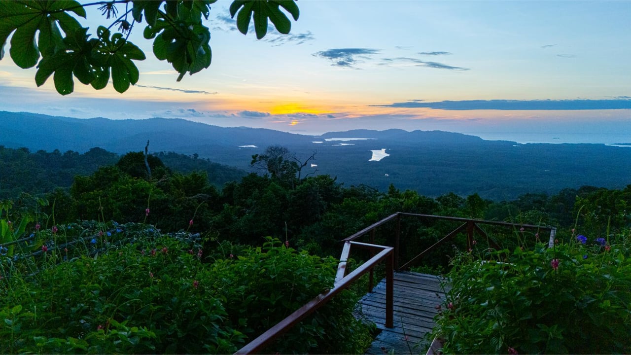 Waterfall Eco Development Land, Osa, Puntarenas