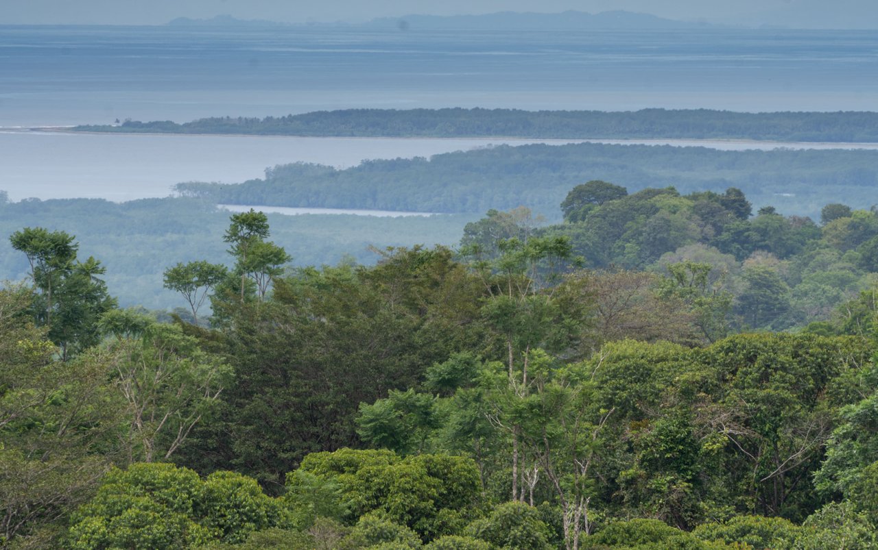 Sierpe Sunset and Jungle Views, 10 Acre Property, OSA!
