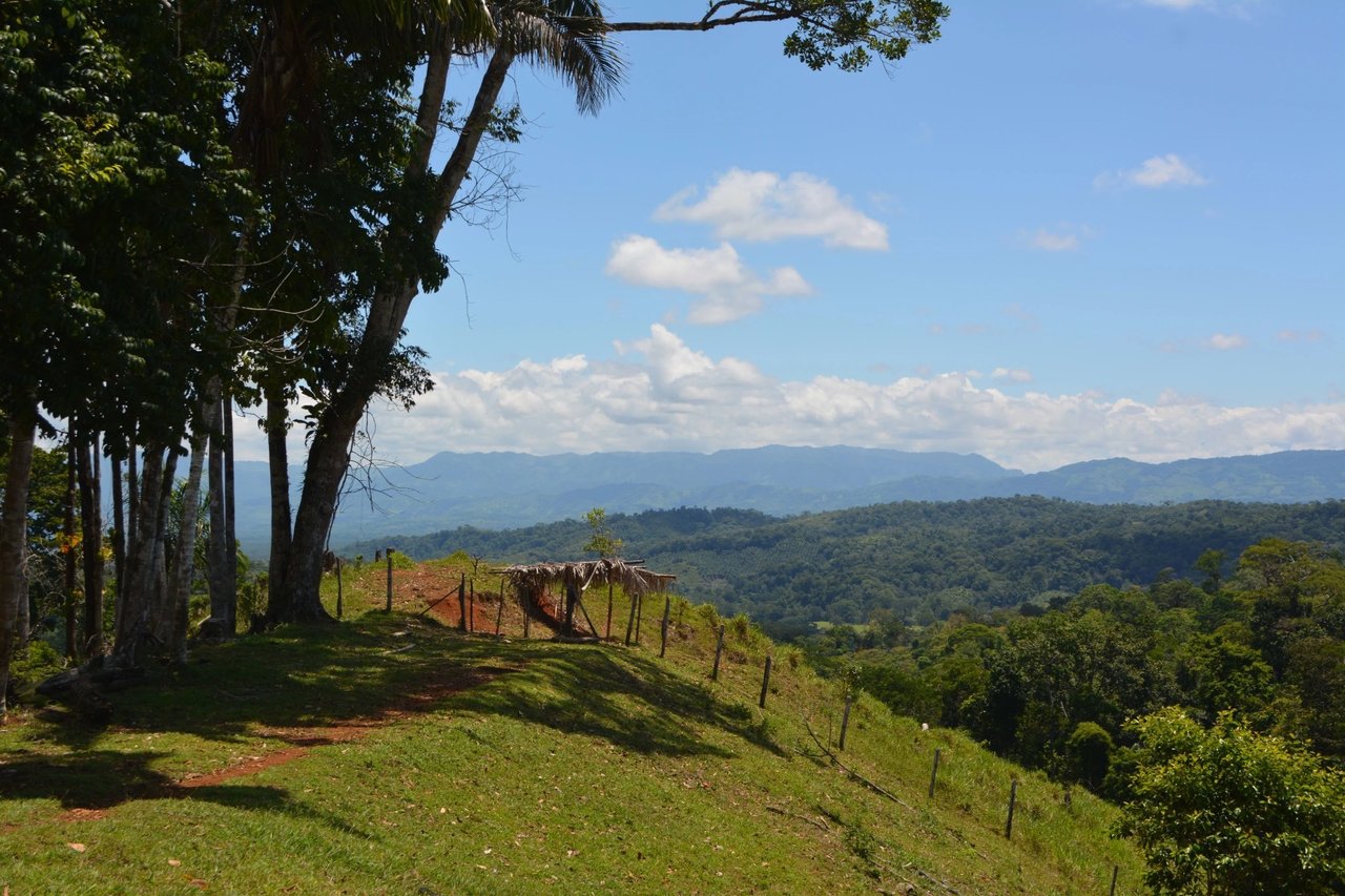Expansive Ocean View Development Land, Osa, Puntarenas